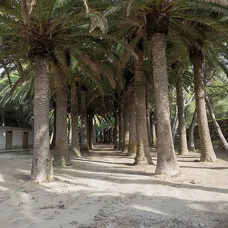 Chalet Cas Ferrer 度假居 卡拉恩·布拉内斯